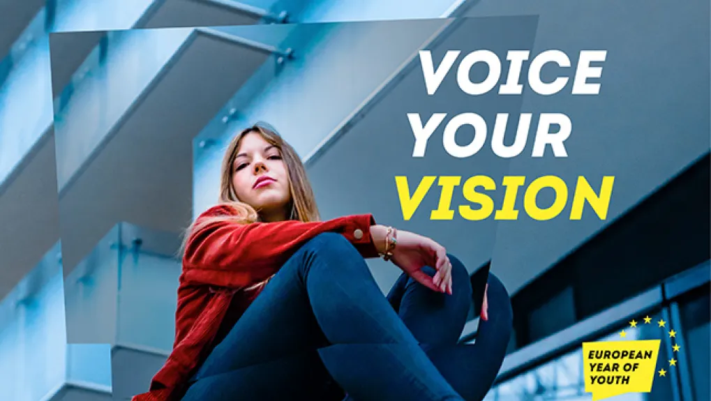 Voice Your Vision afbeelding