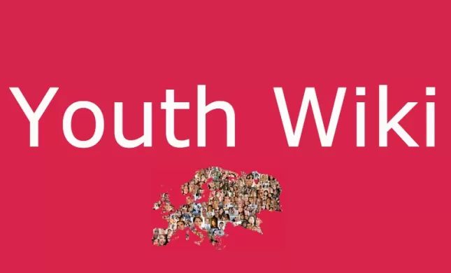 Logo Youth Wiki